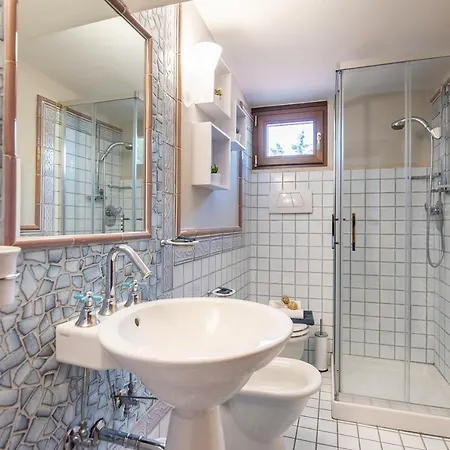 La Ginestra In Fiore *